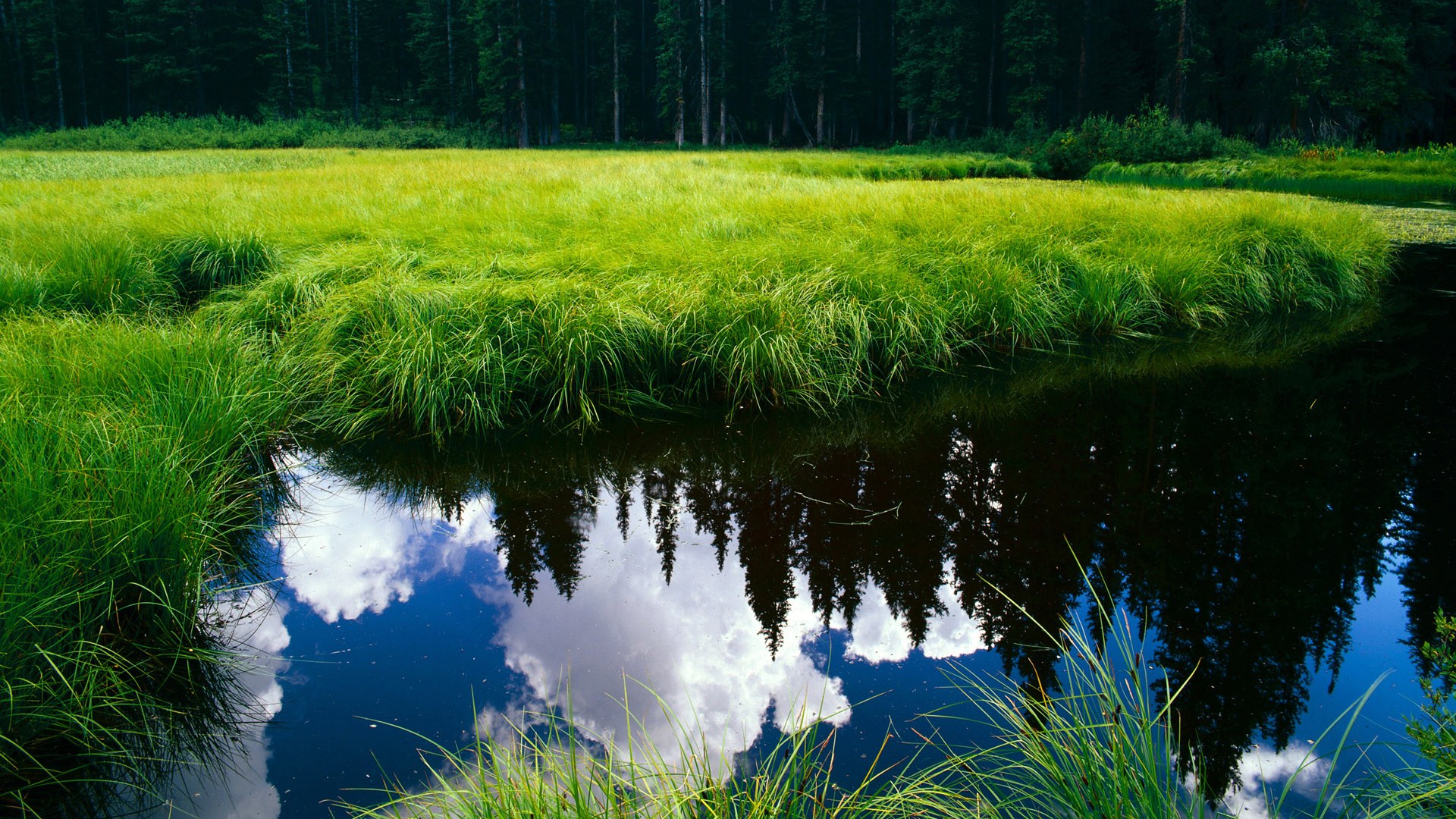 他如何用美网的烈焰，完成对罗兰·加洛斯阴影的隐秘回应？