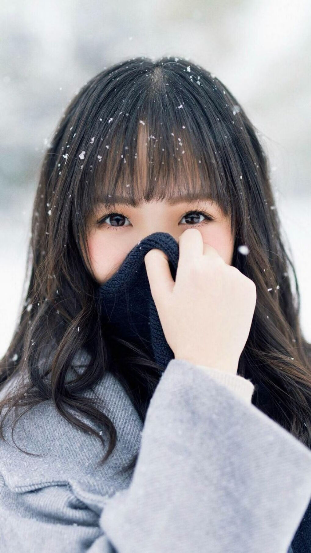 戈贝尔重返丹佛之夜，当辽宁铁骑用掘金的剑横扫高原