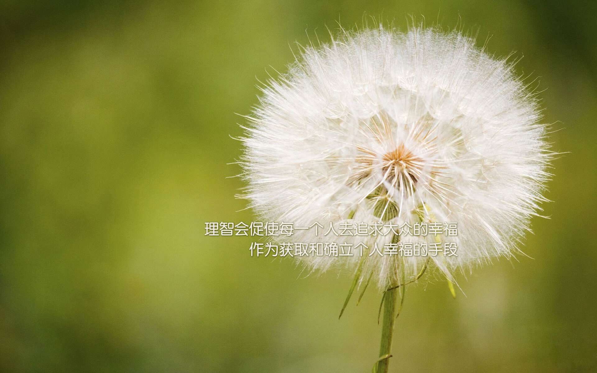 新王加冕与旧日回响，红牛科技铁骑力克迈凯伦，阿隆索刀锋起舞惊艳四座