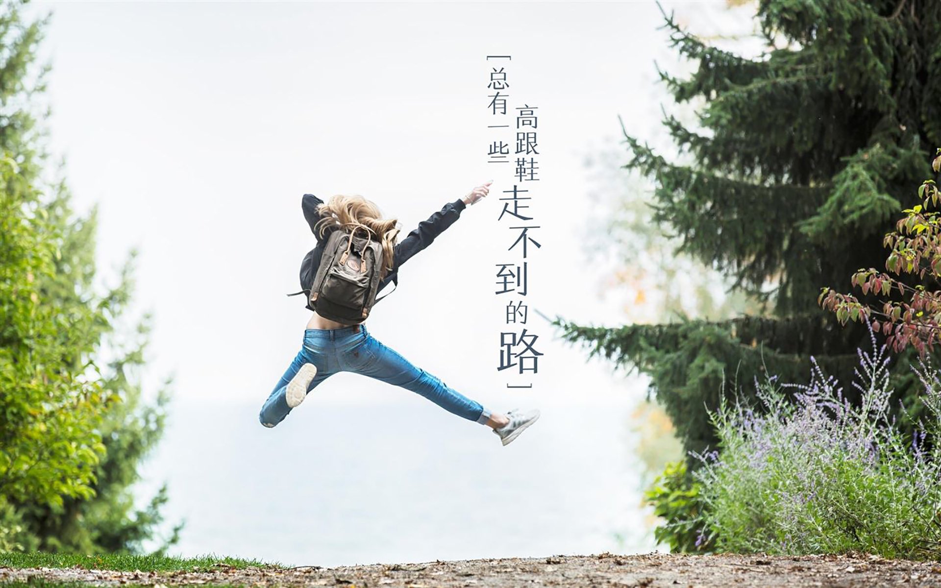 手术刀与秩序，范弗利特的奥运周期关键战