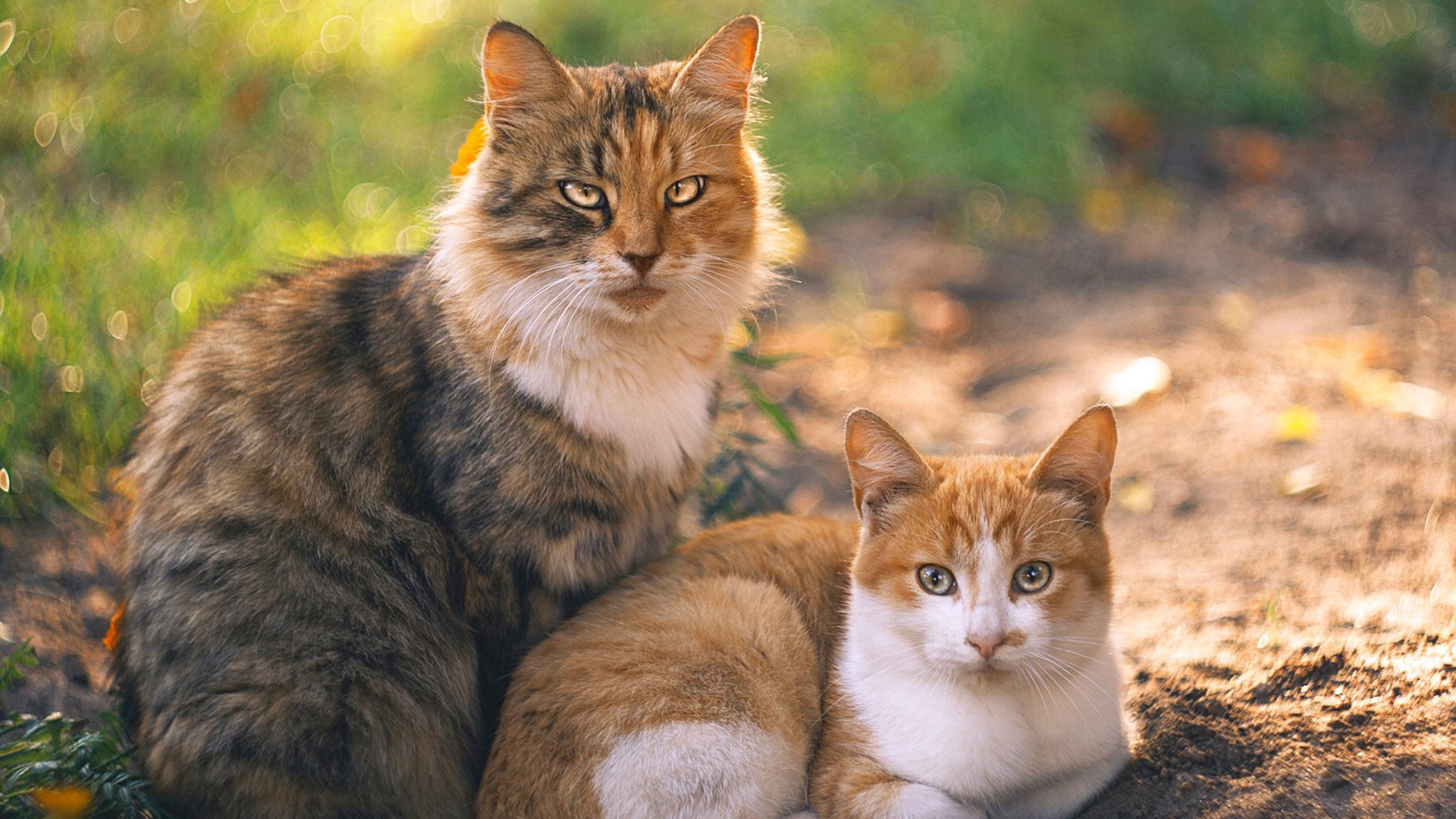 终场哨响前，尤文图斯在抢七式决战中对韩国足球的体系压制
