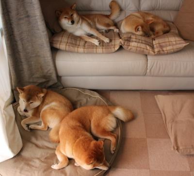 秘鲁强硬终结毕尔巴鄂传奇，巴斯托尼冠军级表现铸就胜利之夜