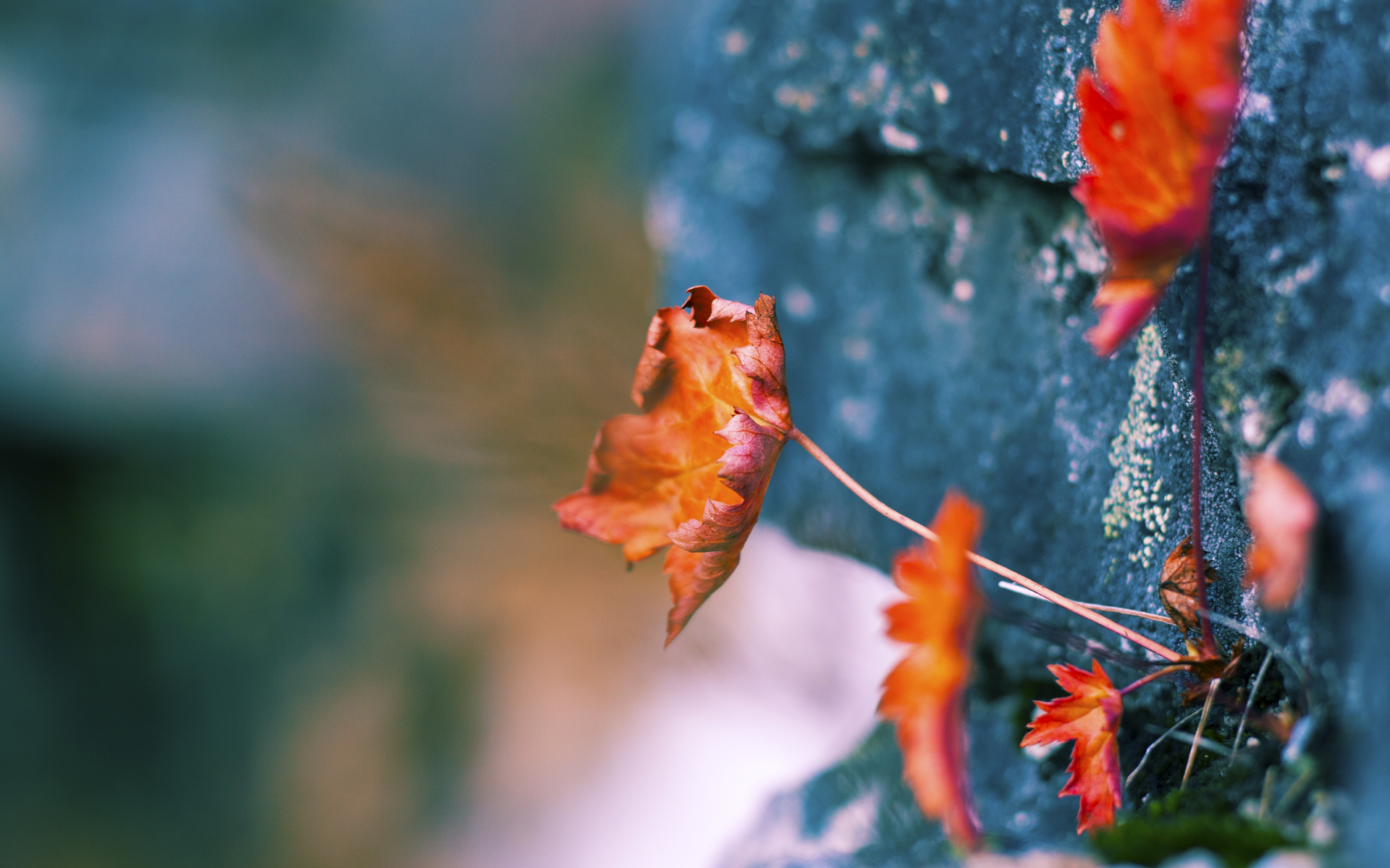 爱游戏娱乐-那一夜，他踏着奥林匹亚的星光而来—记奥运周期关键战，基米希进攻端的不朽演绎