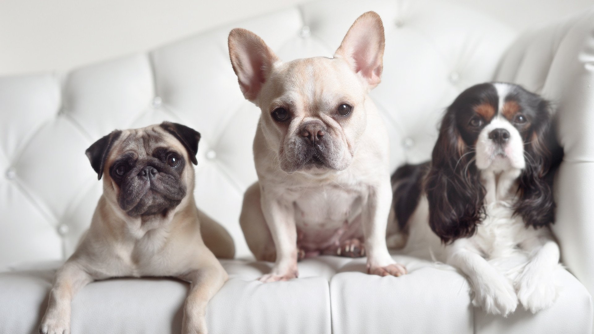 看到您的需求，我为您构思了几个独具视角、富有戏剧张力的标题。第一个最能体现唯一性