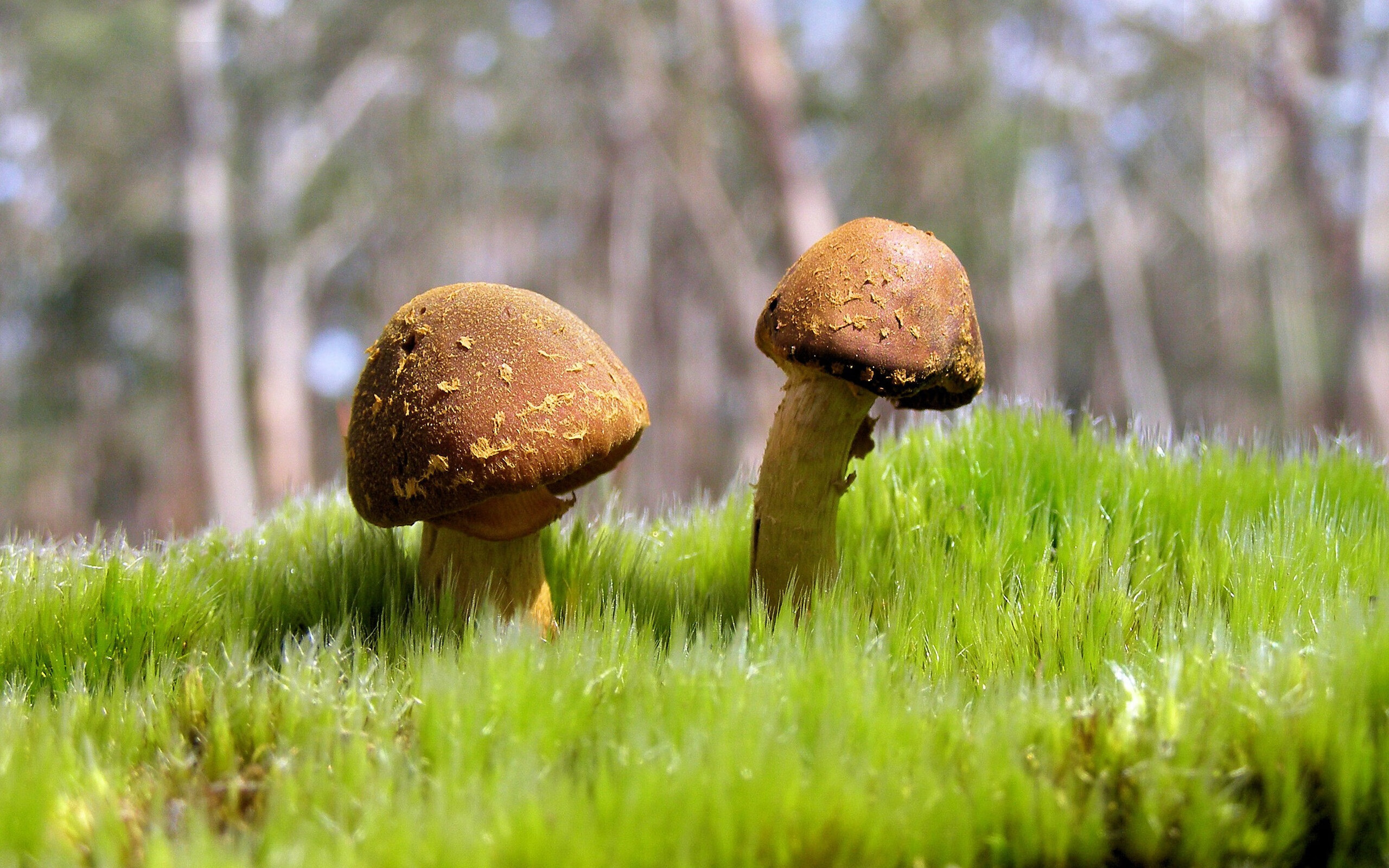 伯纳乌的无声交响，孔德以数据为指挥棒，谱写皇马对阵亚特兰大的统治乐章