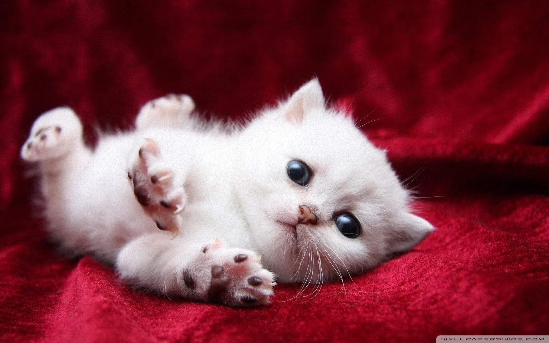 绣花针与钢铁洪流，足球世界掌控力的一体两面