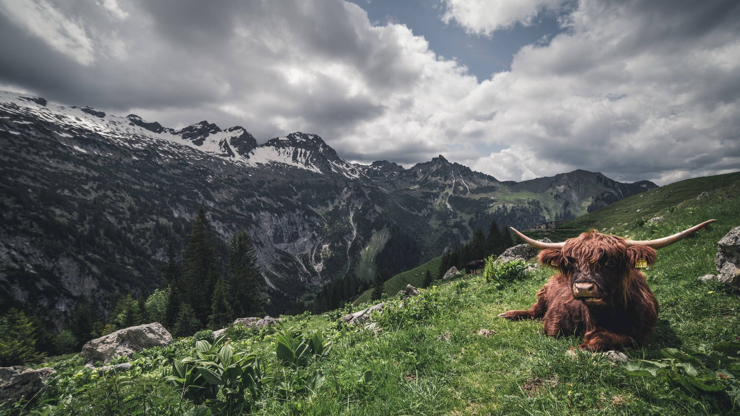 拉奥孔式的缠斗，欧冠决赛之夜，保罗如何用防守雕刻永恒