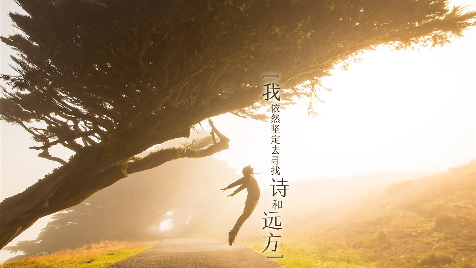宿命之战,2026世界杯B组焦点战,伊朗铁骑绝杀厄瓜多尔,久保建英的东方魔法点燃进攻风暴