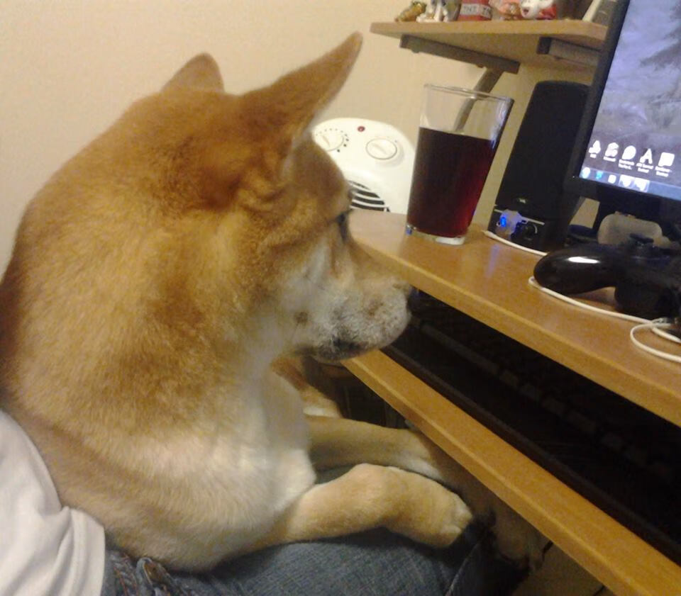 冰与火之歌，加维主宰下的北欧逆转，世界杯头名之争的终极考验